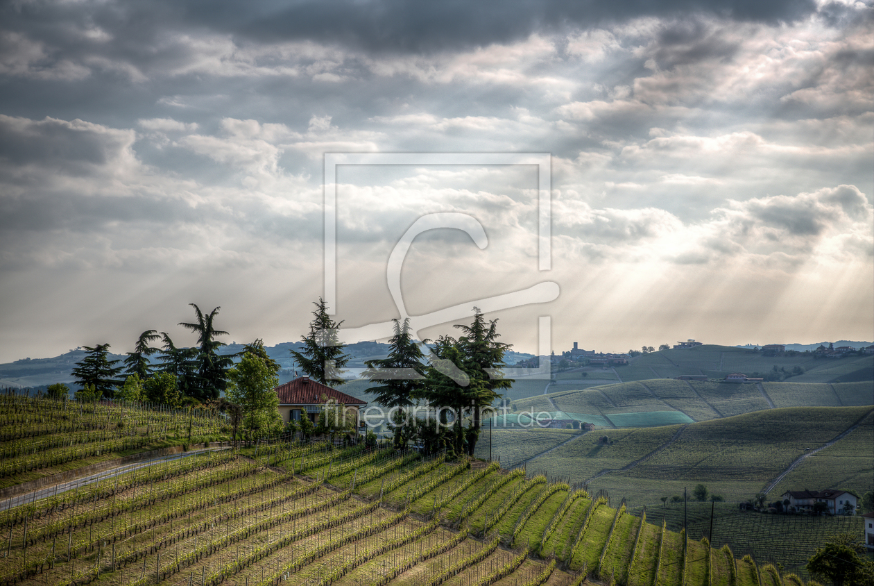 Bild-Nr.: 11754268 Piemont landscape erstellt von shaas737