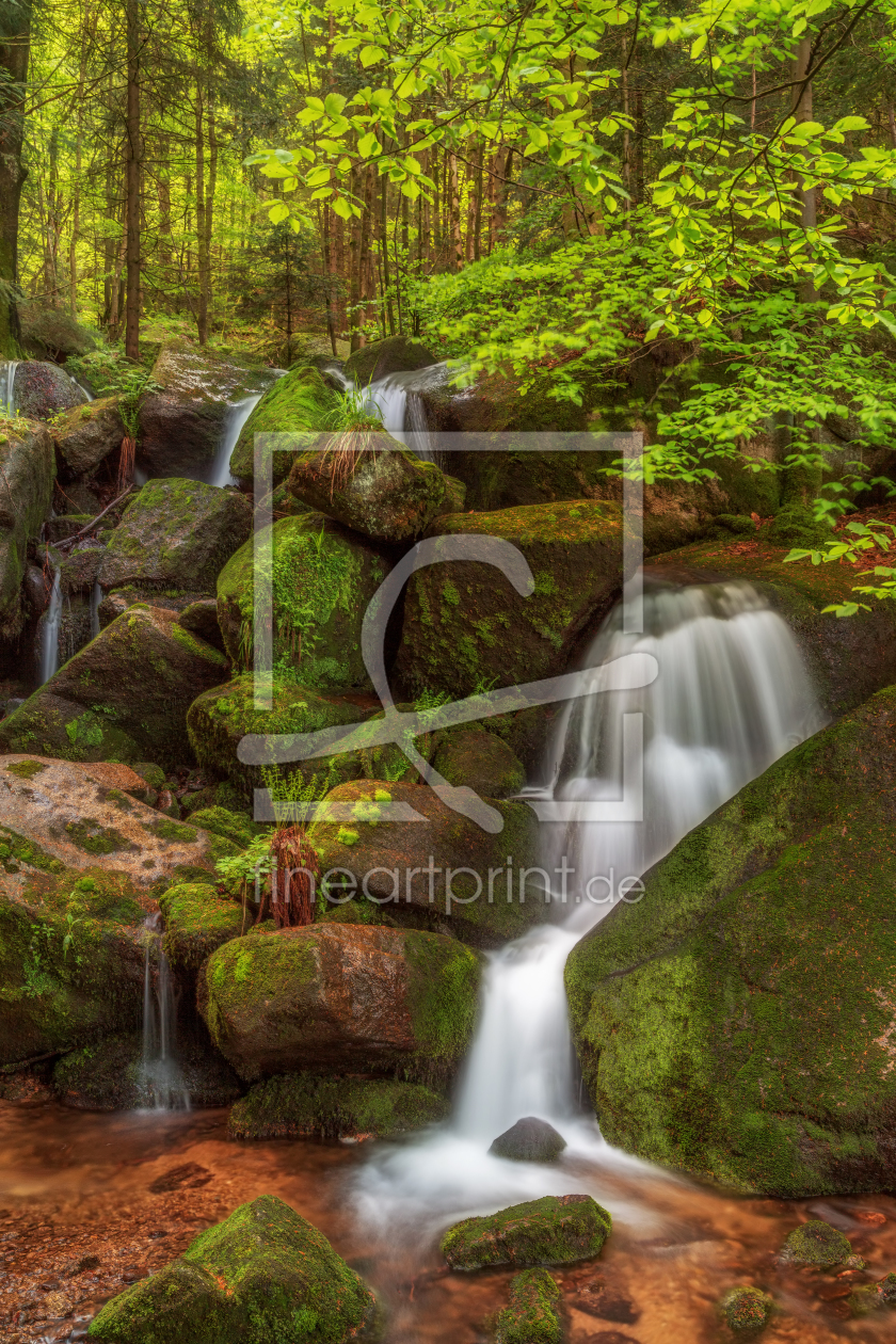 Bild-Nr.: 11754372 Gertelbach im Schwarzwald erstellt von Thomas Herzog