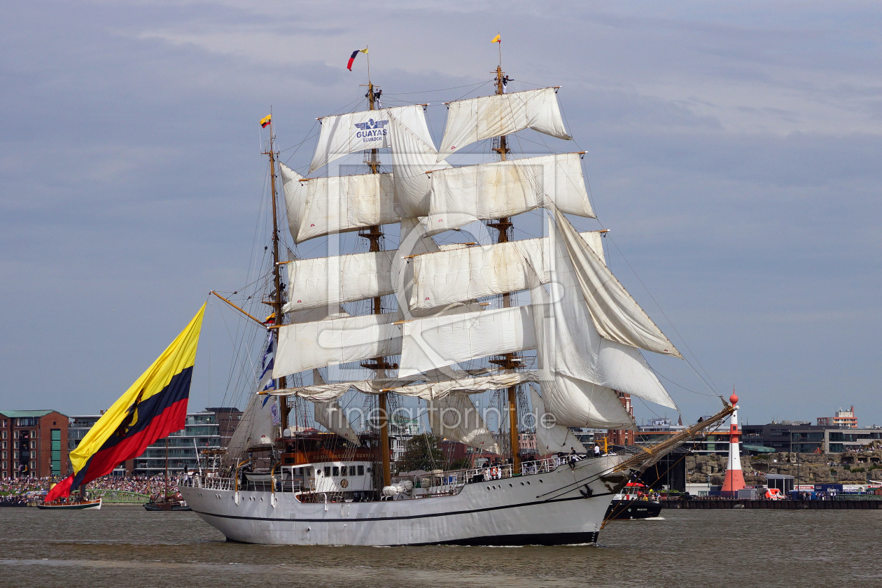 Bild-Nr.: 11754740 Bark Guayas erstellt von stoerti-md