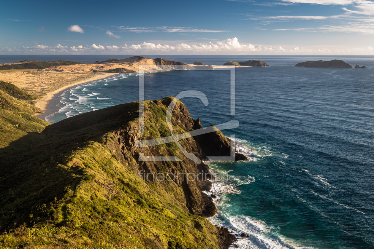 Bild-Nr.: 11754764 Te Werahi Beach erstellt von TomKli