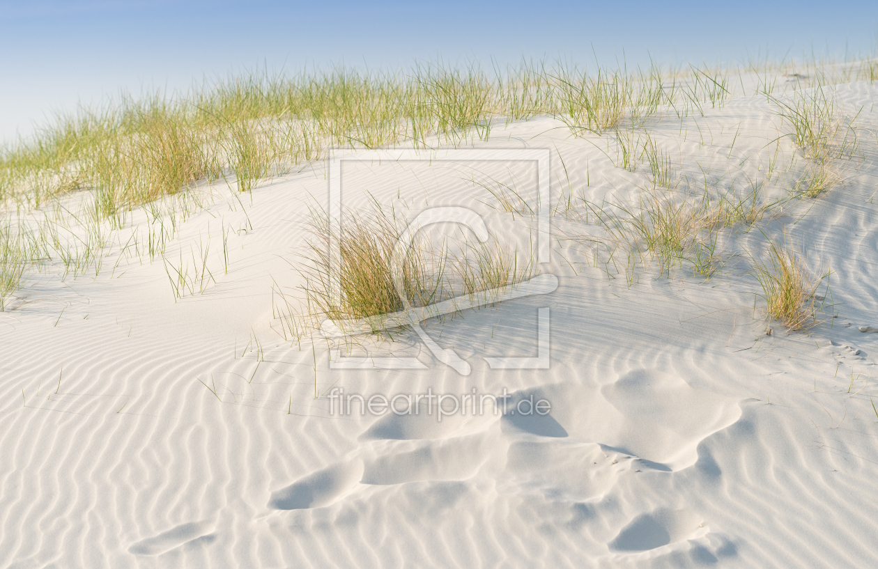 Bild-Nr.: 11755200 In den Dünen von Amrum erstellt von Michael Rechter