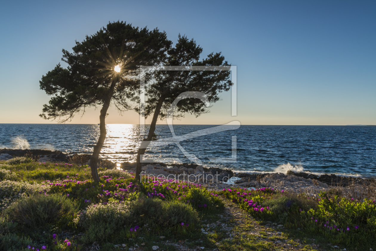 Bild-Nr.: 11756842 TWO TREES erstellt von DenisFeiner