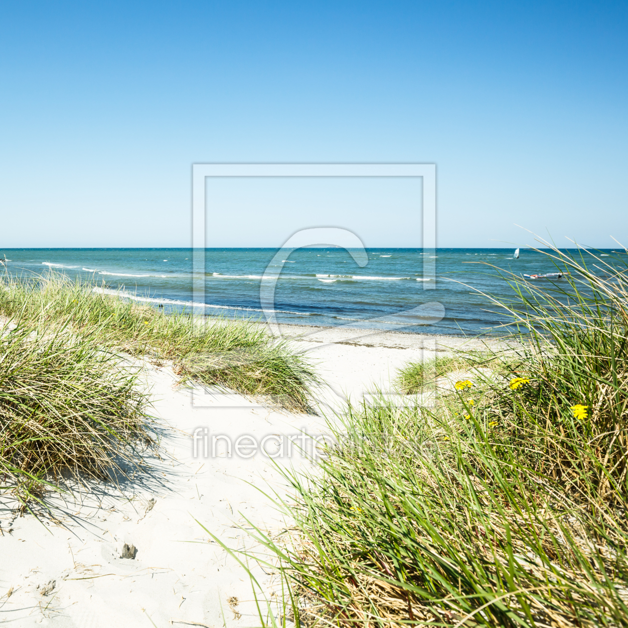 Bild-Nr.: 11757308 Frühling in den Dünen erstellt von Ursula Reins