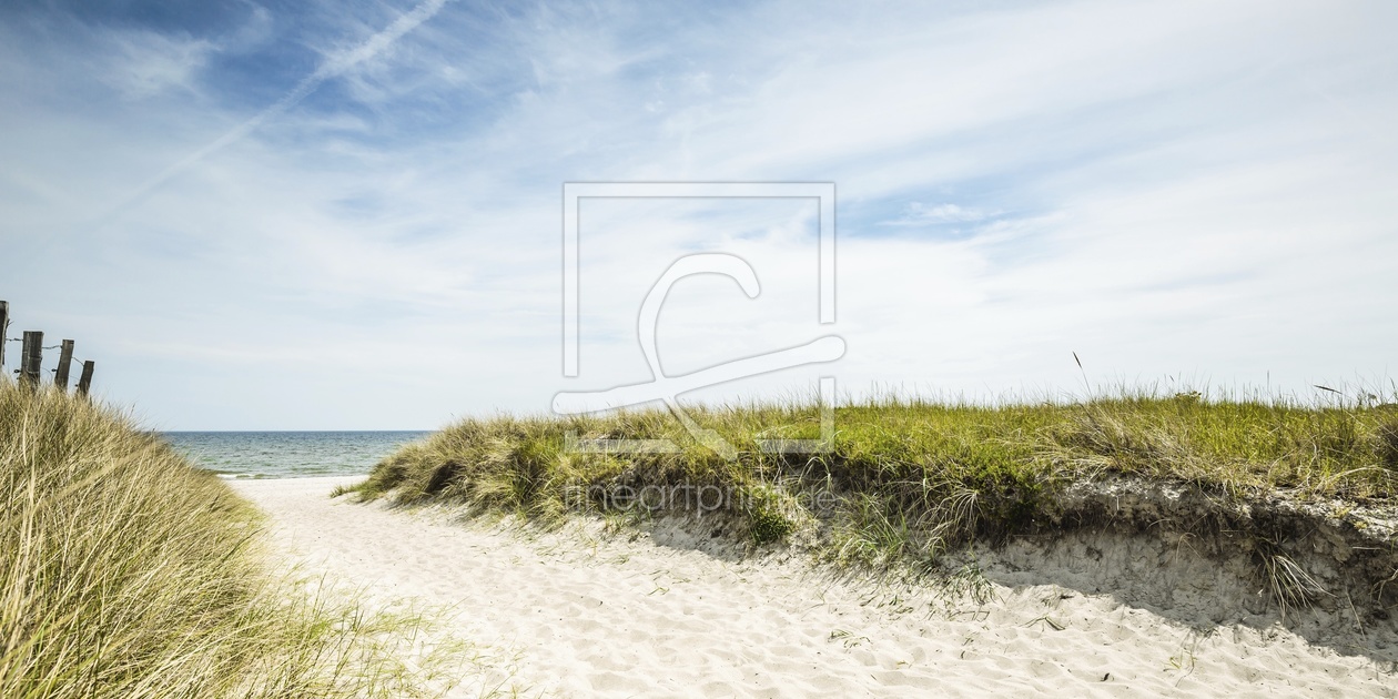 Bild-Nr.: 11757310 Frühling am Ostseestrand erstellt von Ursula Reins