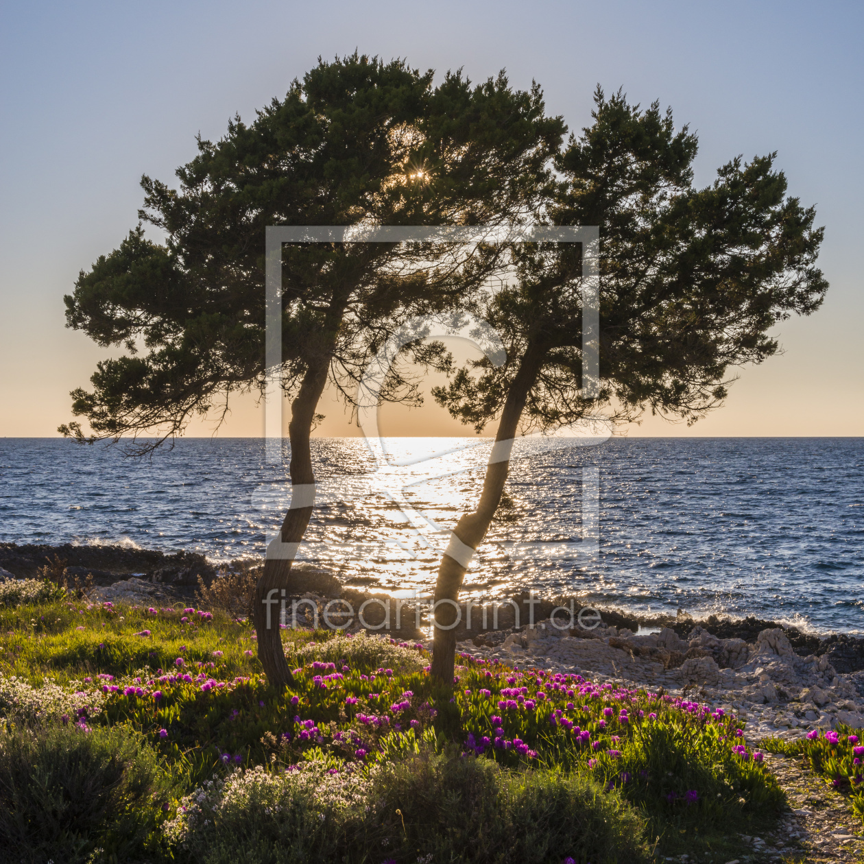 Bild-Nr.: 11759328 TREES IN SQUARE erstellt von DenisFeiner