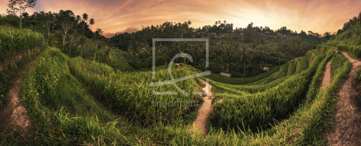 Bild-Nr.: 11759636 Bali - Ubud Tegalalan Panorama erstellt von Jean Claude Castor