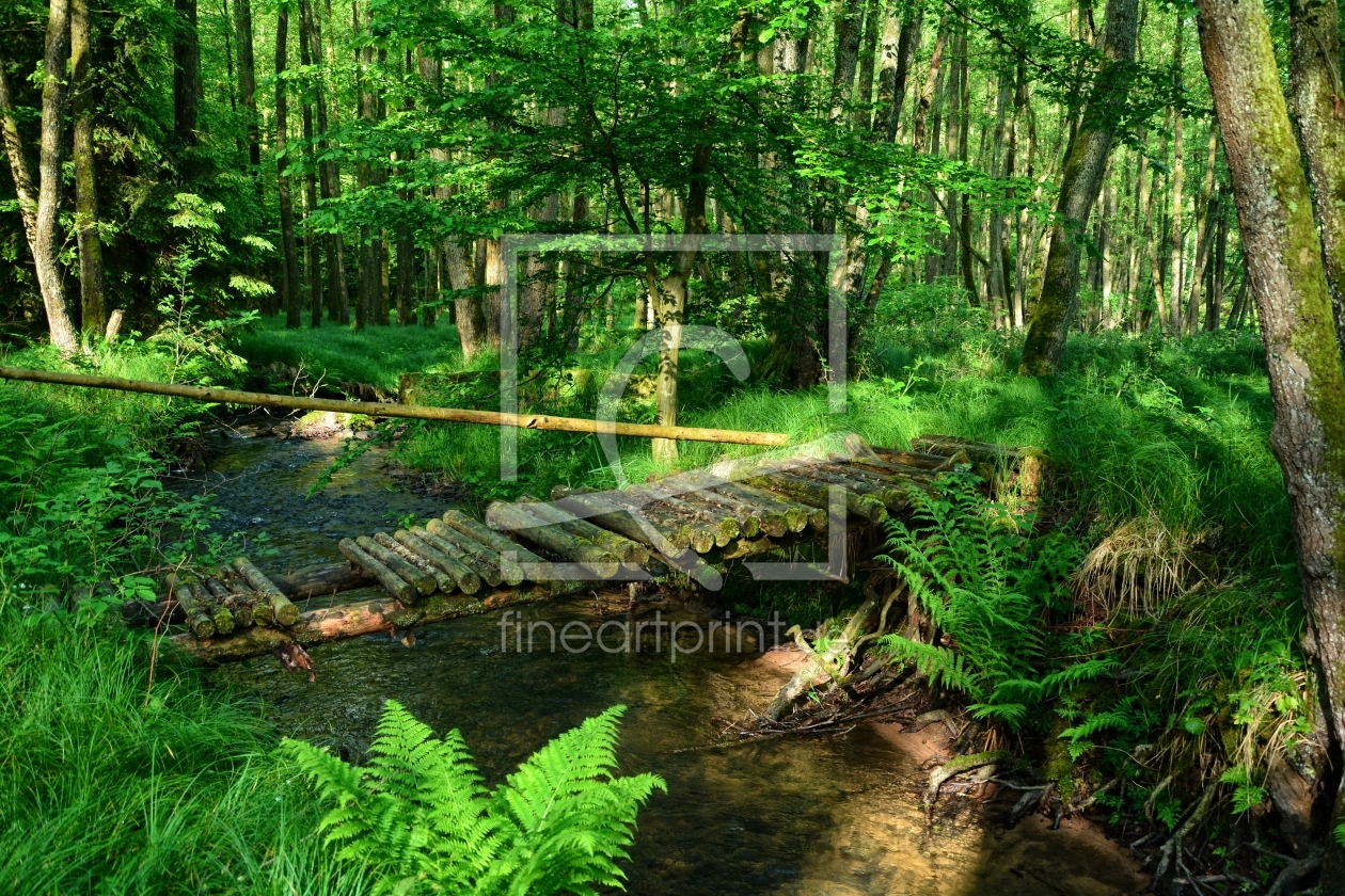 Bild-Nr.: 11759740 Alte Wald - Brücke erstellt von Claudia Evans