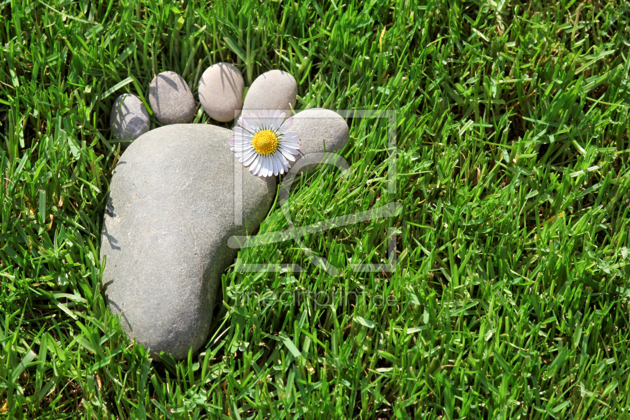 Bild-Nr.: 11759826 Fußsymbol im Gras Bild-Nr.: 11759826 Fußsymbol im Gras erstellt von Terra-one