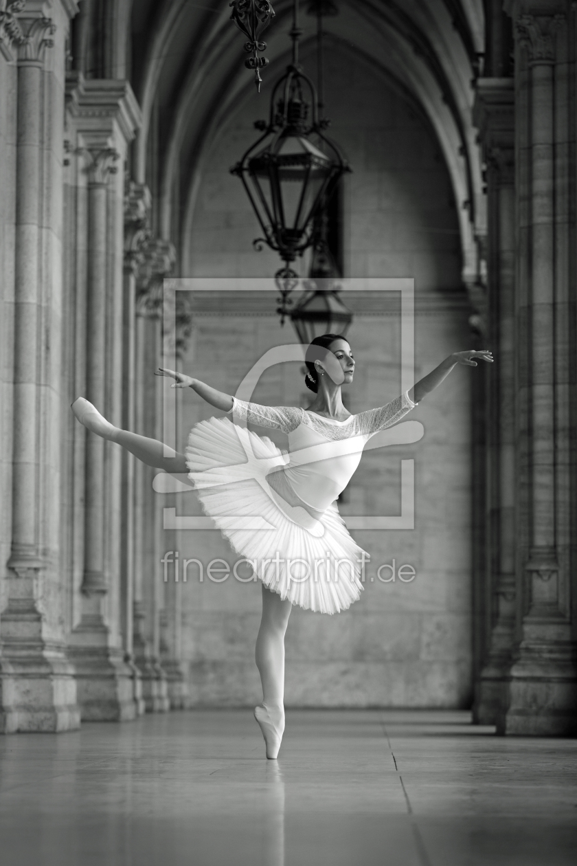 Bild-Nr.: 11759934 Tanzende Ballerina im Tutu erstellt von Ginkgo