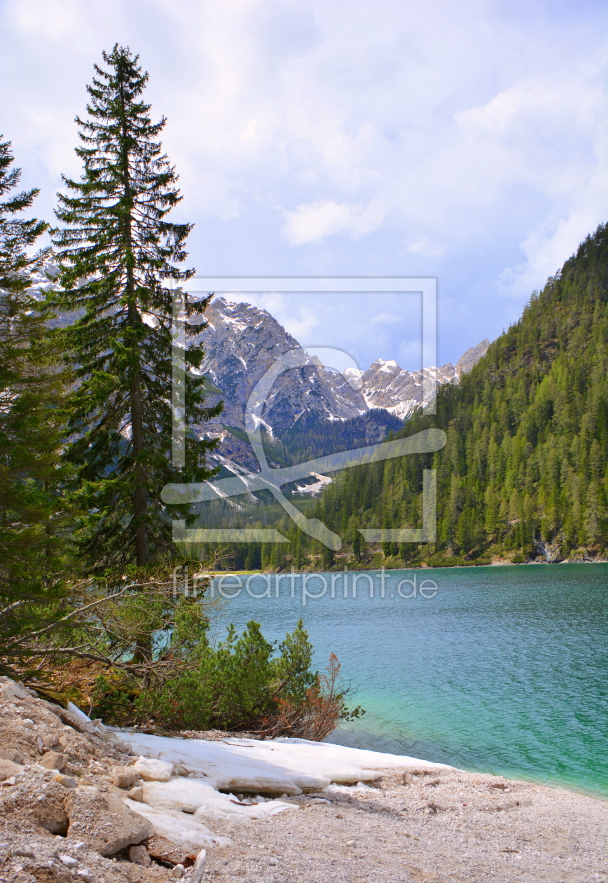 Bild-Nr.: 11761692 Frühling am Pragser Wildsee erstellt von GUGIGEI