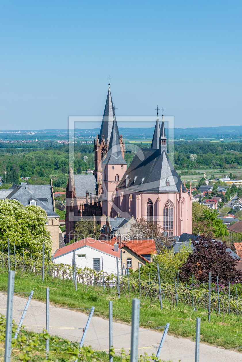 Bild-Nr.: 11762214 Oppenheim -Katharinenkirche 77 erstellt von Erhard Hess