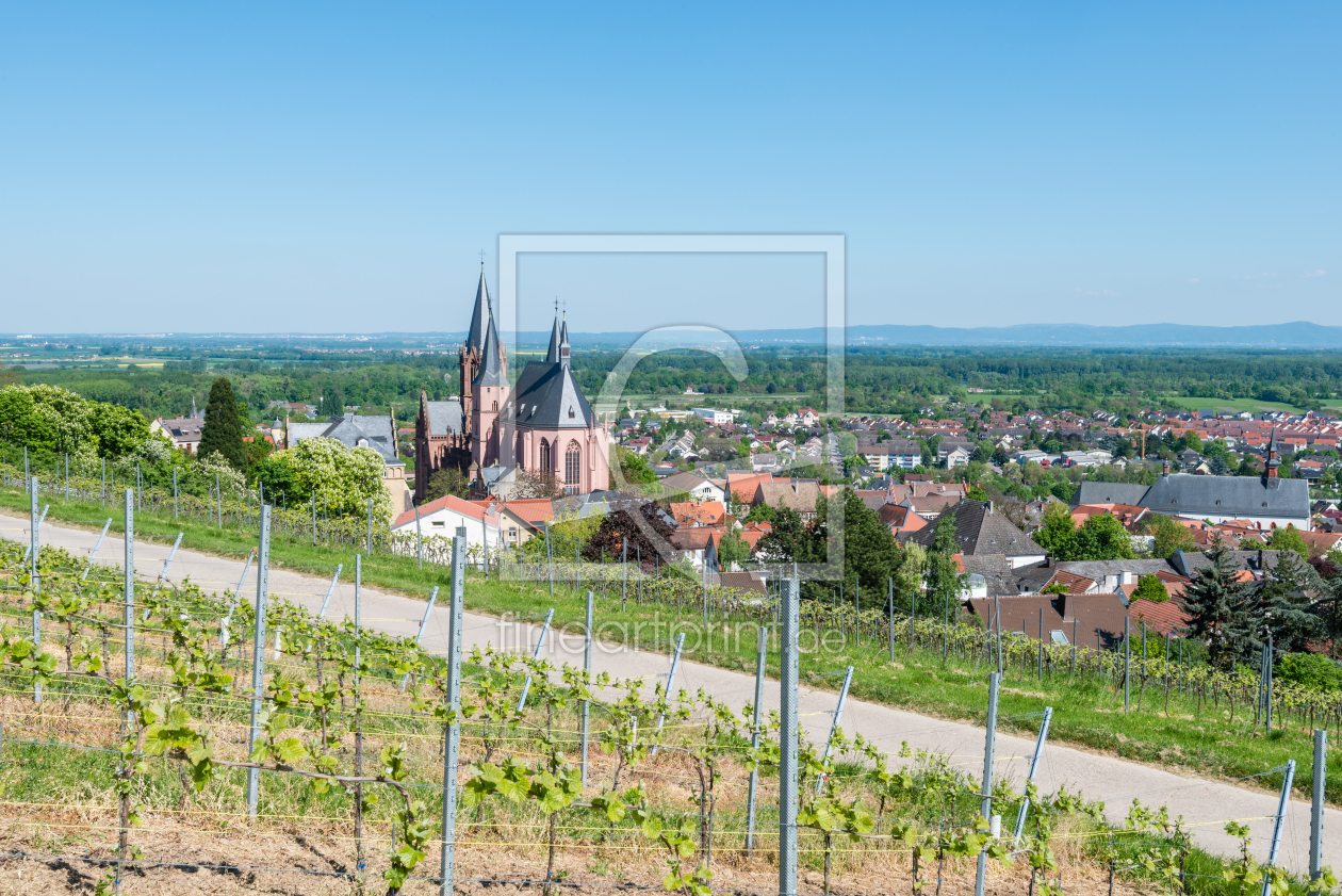 Bild-Nr.: 11762222 Oppenheim -Katharinenkirche 62 erstellt von Erhard Hess