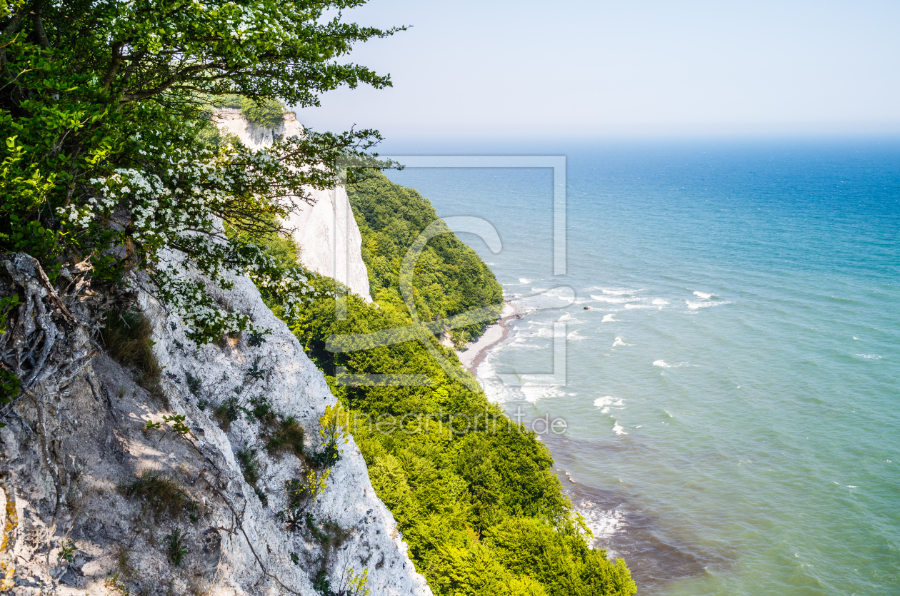 Bild-Nr.: 11762316 Rügen Kreidefelsen erstellt von Ursula Reins