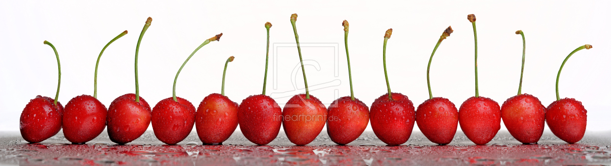 Bild-Nr.: 11762532 Cherries Panorama erstellt von Rolf Eschbach