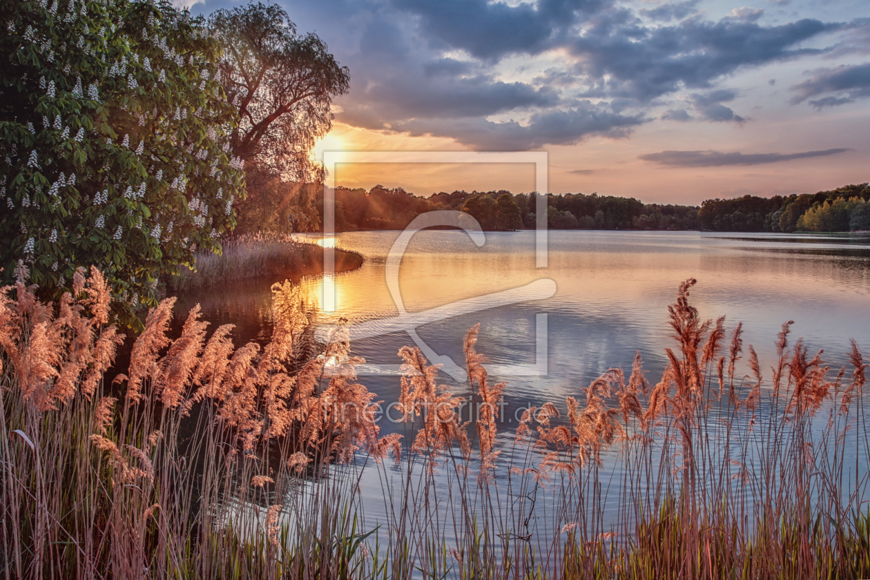 Bild-Nr.: 11763418 Frühlingsabend am See erstellt von Image24