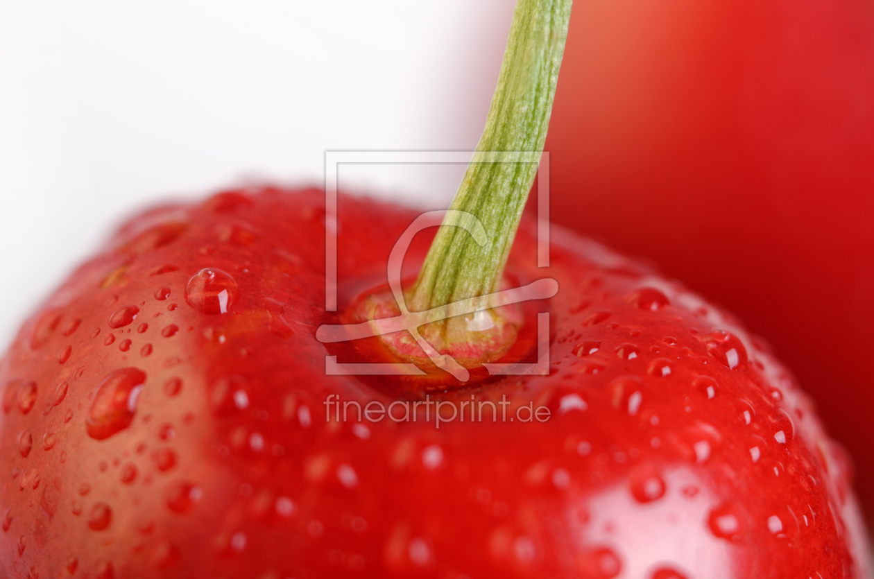 Bild-Nr.: 11763682 Kirschen Makro Bild-Nr.: 11763682 Kirschen Makro erstellt von Rolf Eschbach