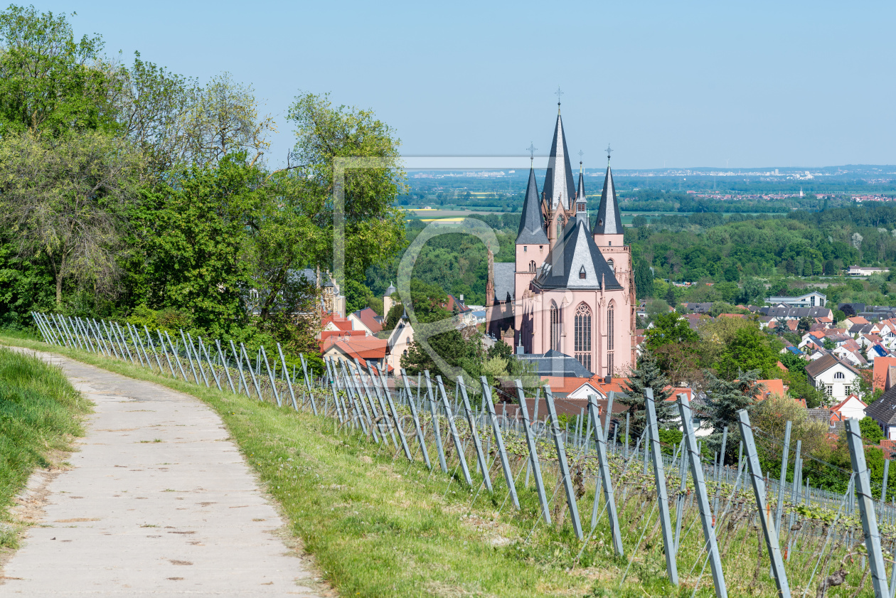 Bild-Nr.: 11763766 Oppenheim -Katharinenkirche 88 erstellt von Erhard Hess