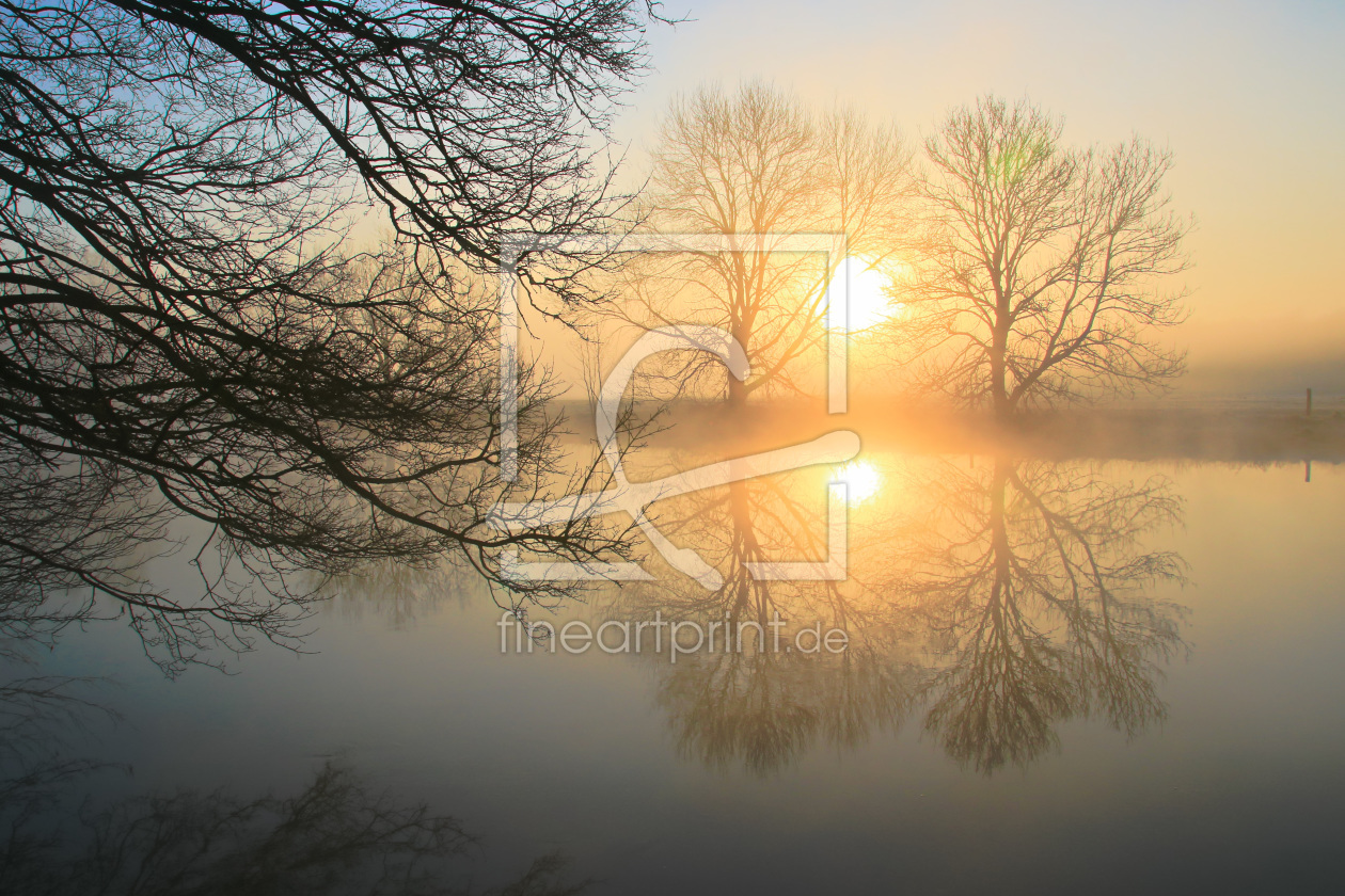 Bild-Nr.: 11764006 Nebeliger Wintermorgen erstellt von falconer59