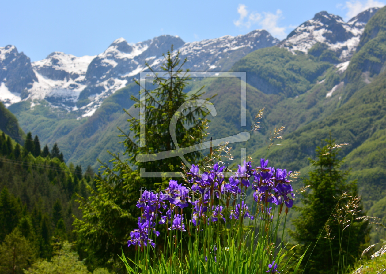 Bild-Nr.: 11767658 Frühling im Nationalpark erstellt von GUGIGEI