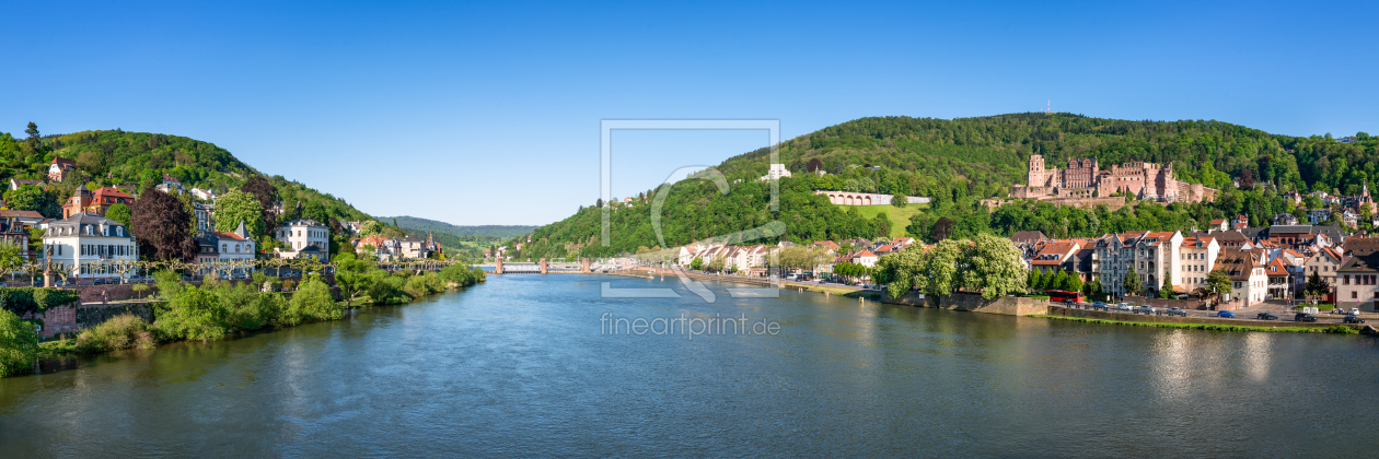 Bild-Nr.: 11767744 Heidelberg Panorama im Sommer erstellt von eyetronic