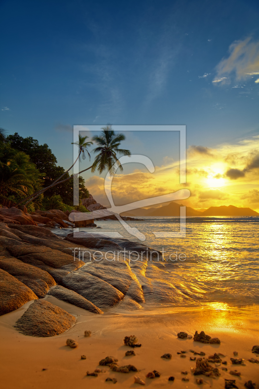 Bild-Nr.: 11774266 rocks and palms erstellt von photoplace