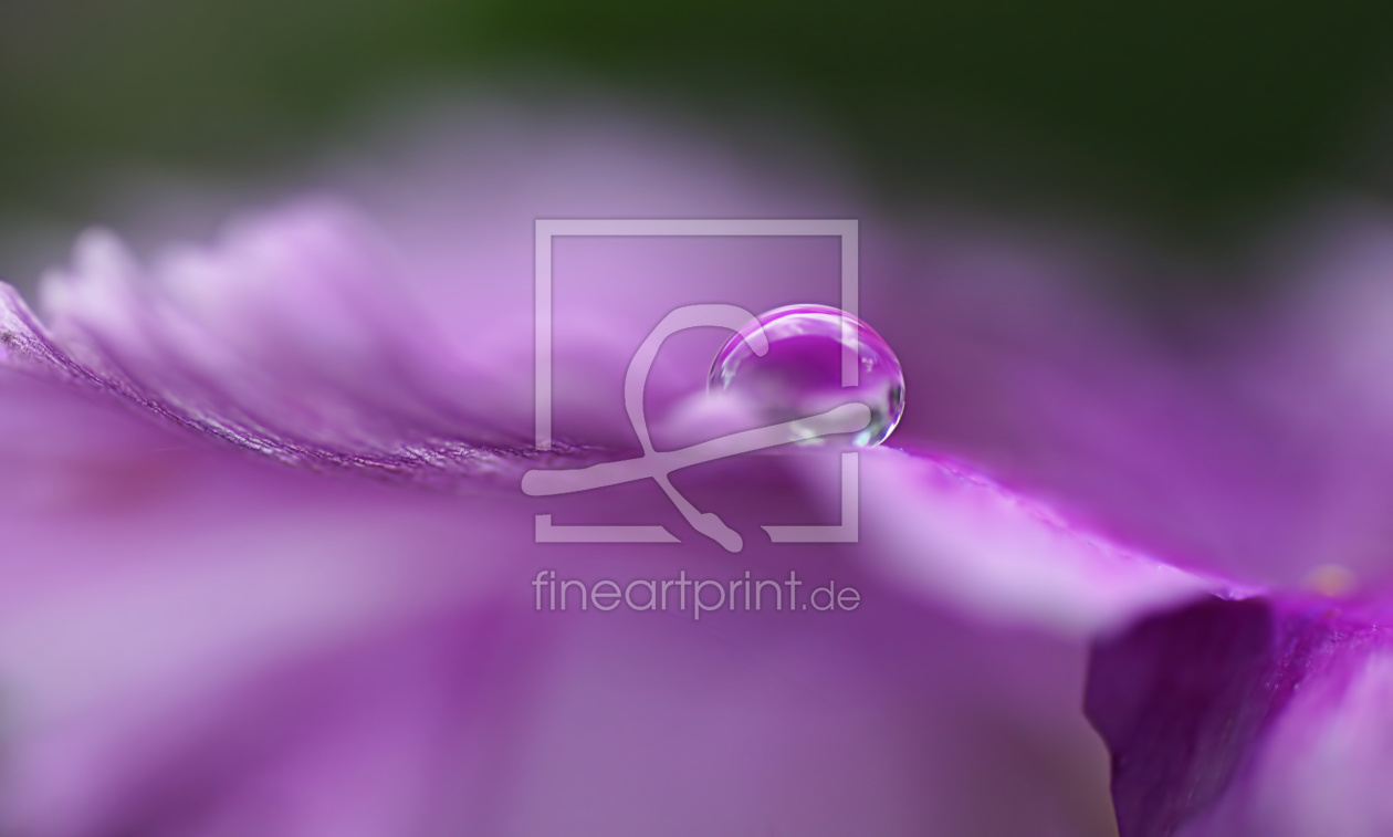 Bild-Nr.: 11775320 Lilac world erstellt von youhaveadream