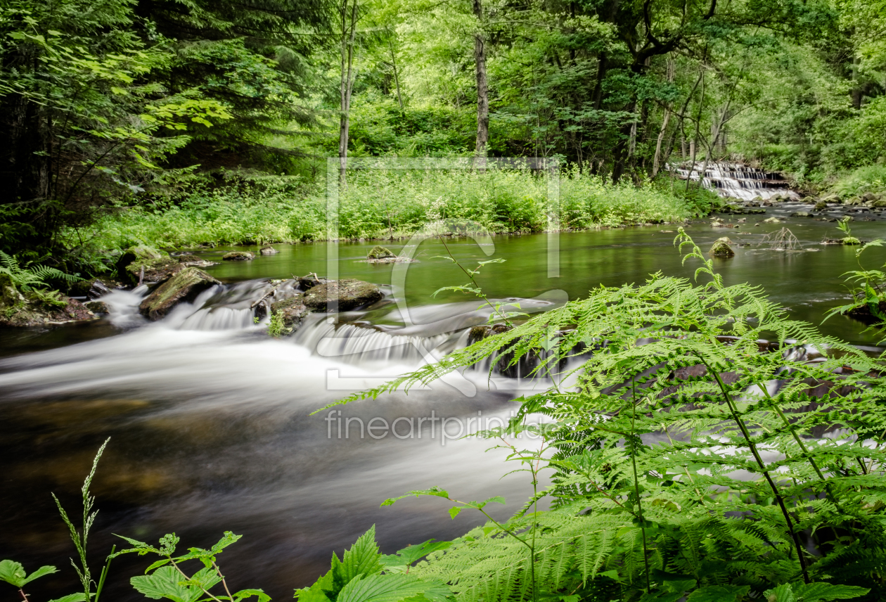 Bild-Nr.: 11775990 Am Fluss erstellt von Steffen Henze