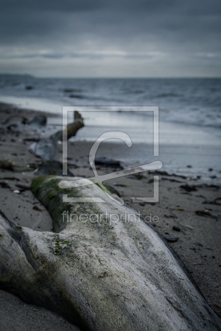 Bild-Nr.: 11777848 Strandgut an der Meeresküste erstellt von luxpediation