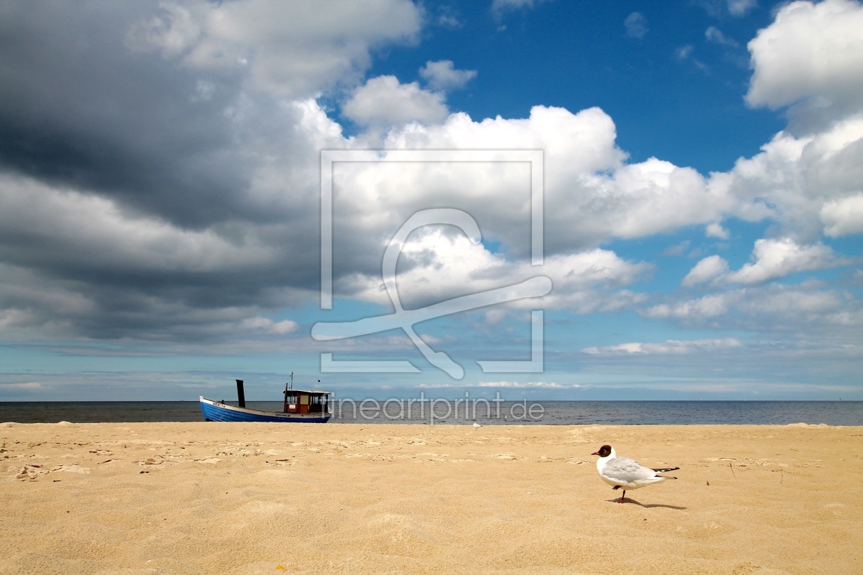 Bild-Nr.: 11778218 Usedom erstellt von margoscha08