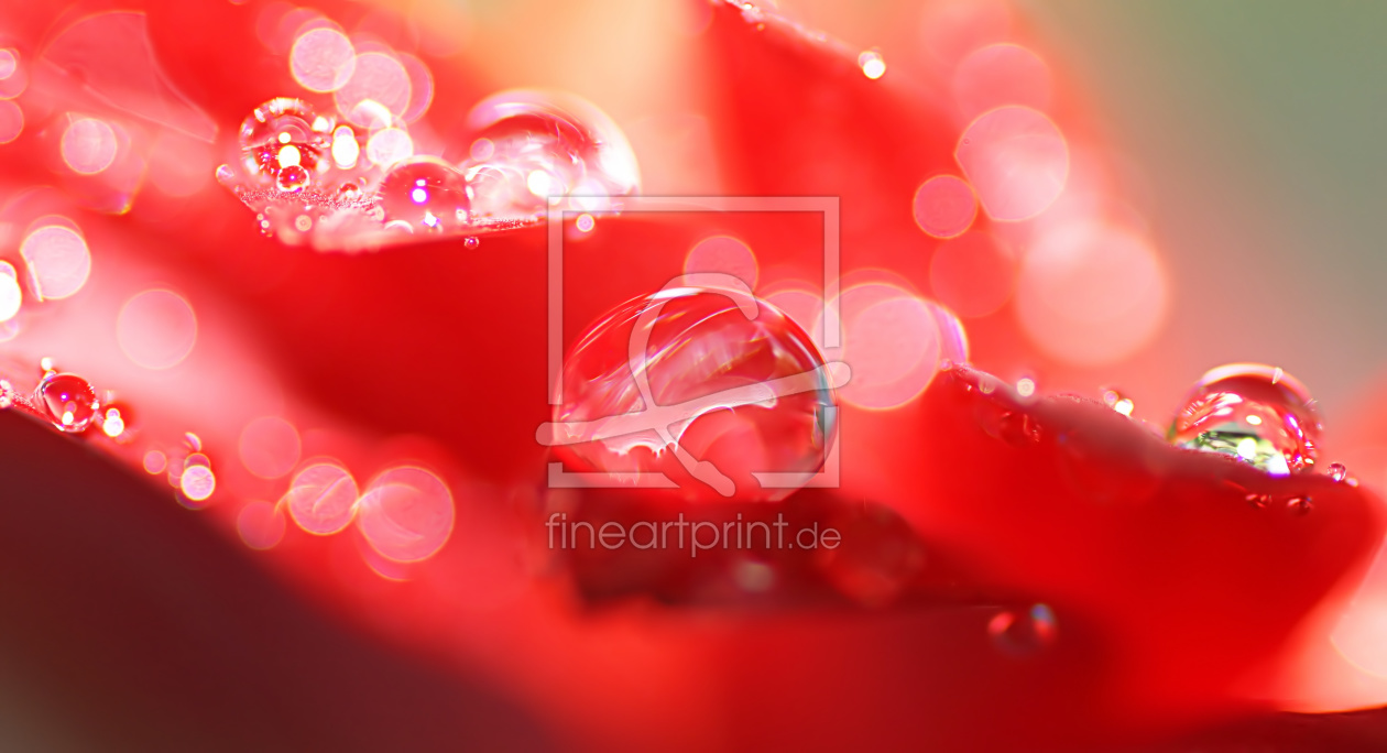 Bild-Nr.: 11780280 Prickelndes Rot Bild-Nr.: 11780280 Prickelndes Rot erstellt von youhaveadream