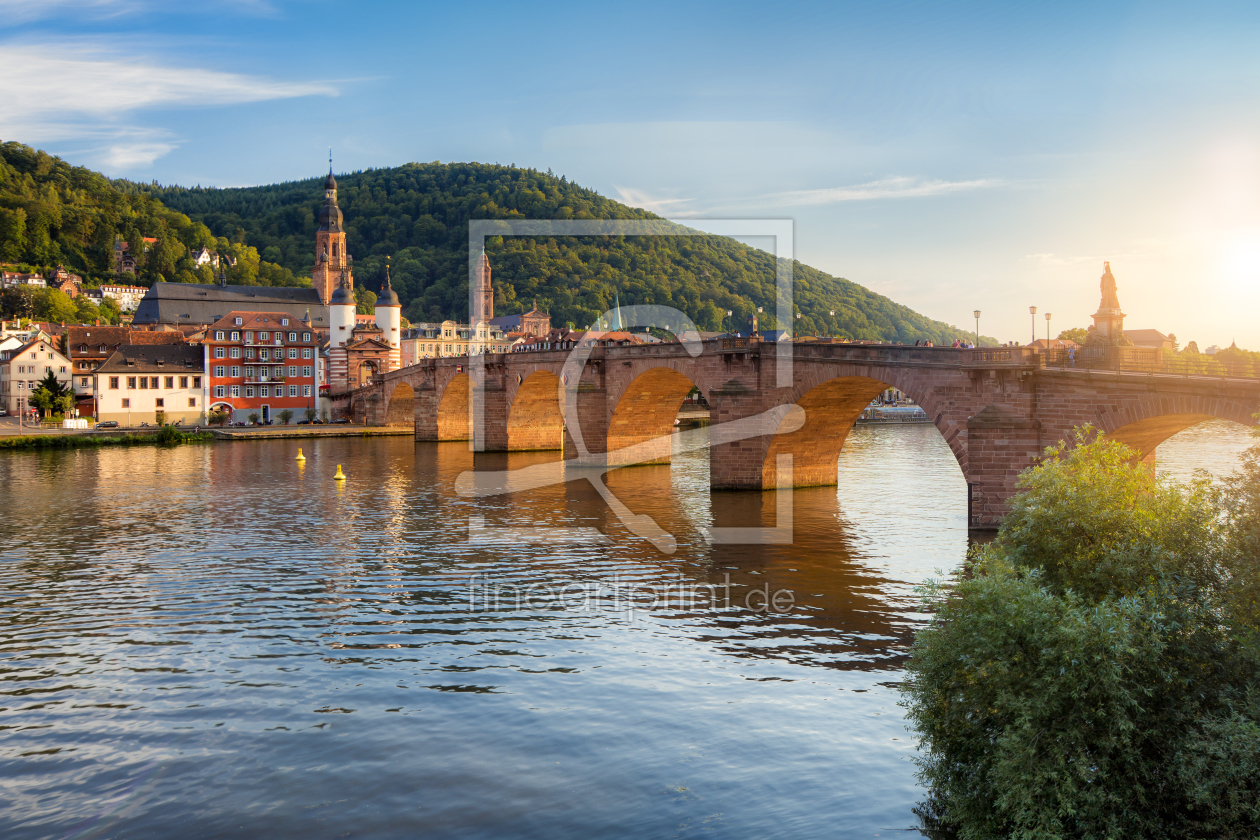 Bild-Nr.: 11780510 Heidelberg am Neckar Bild-Nr.: 11780510 Heidelberg am Neckar erstellt von eyetronic