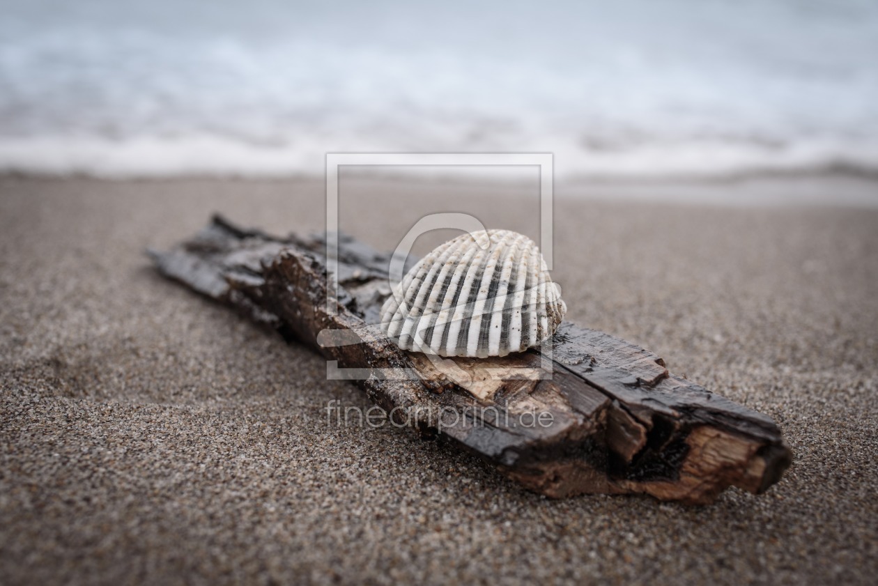 Bild-Nr.: 11780950 Strandgut erstellt von Pixxie99