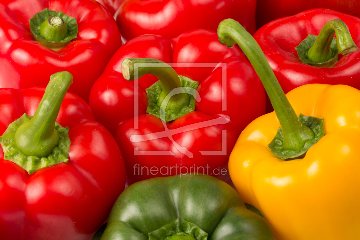 Bild-Nr.: 11781268 Bunte Paprika Bild-Nr.: 11781268 Bunte Paprika erstellt von eyetronic