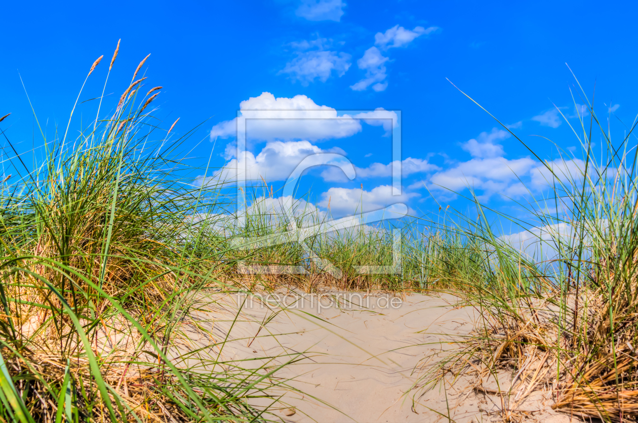 Bild-Nr.: 11782542 Sanddüne am Strand erstellt von mije-shots