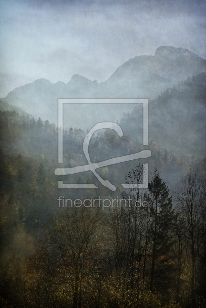 Bild-Nr.: 11784090 nebelschönheit - misty beauty erstellt von 