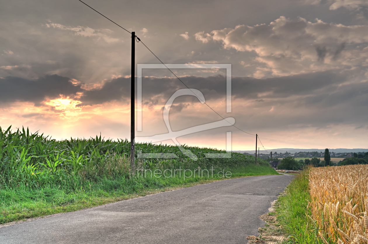 Bild-Nr.: 11784764 Sommerlandschaft erstellt von Rolf Eschbach