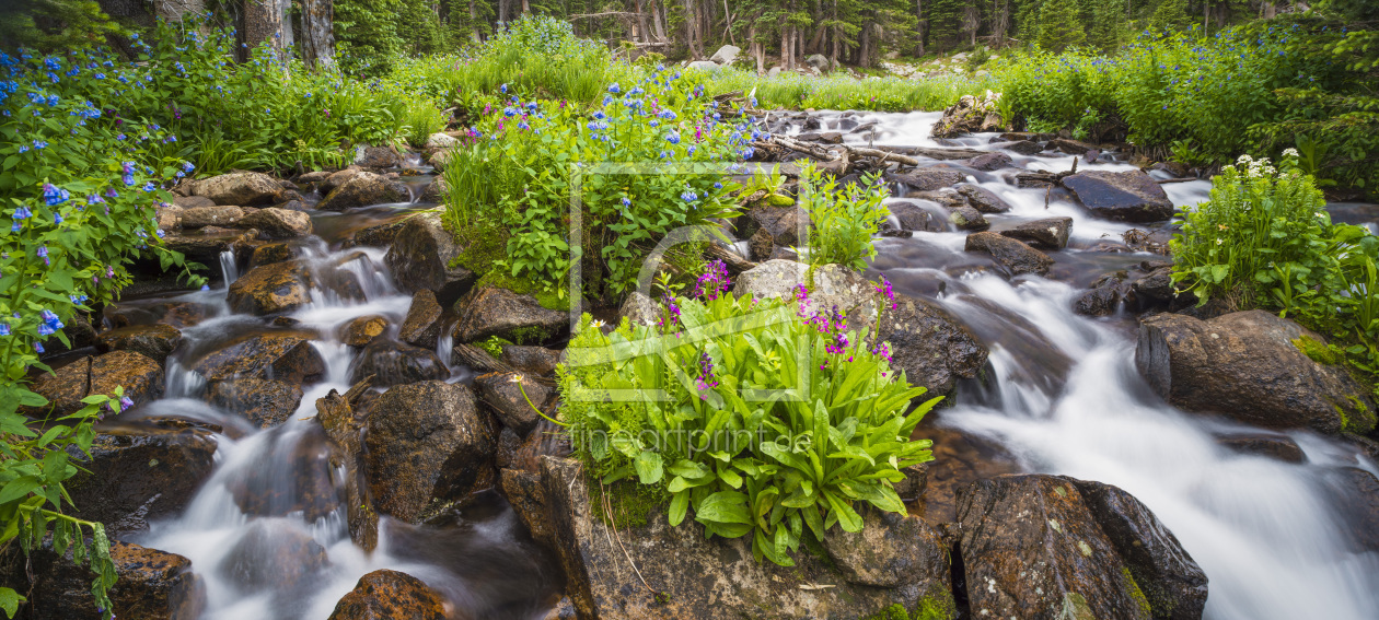 Bild-Nr.: 11785728 Nature paradise erstellt von DenisFeiner