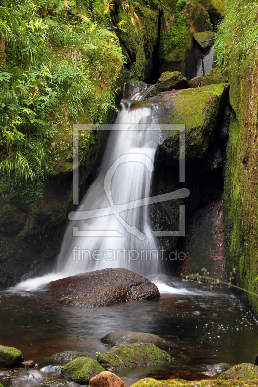 Bild-Nr.: 11786846 Wasserfall Menzenschwand I erstellt von Gerhard Albicker