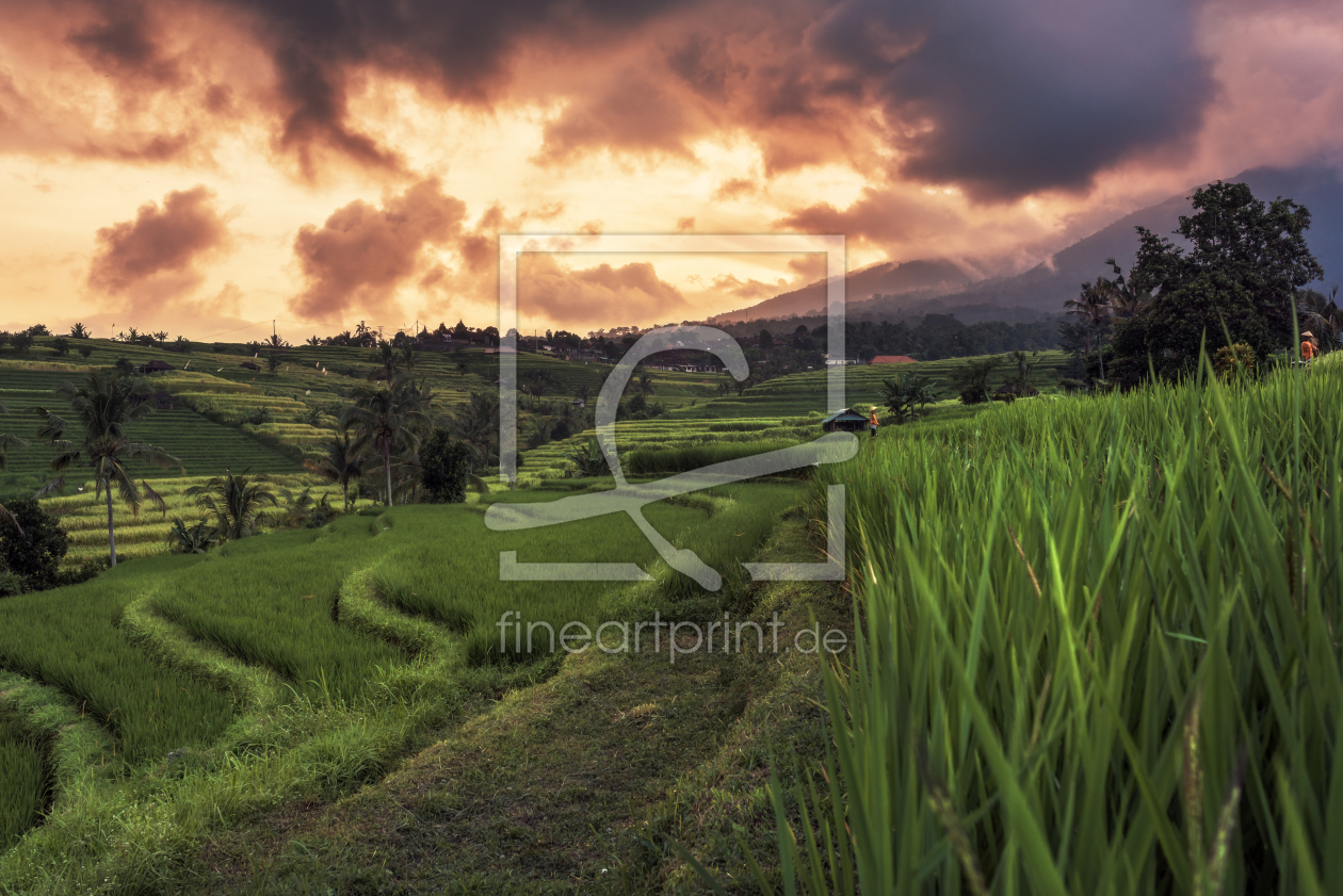 Bild-Nr.: 11787002 Bali - Jatiluwih Sunset  erstellt von Jean Claude Castor