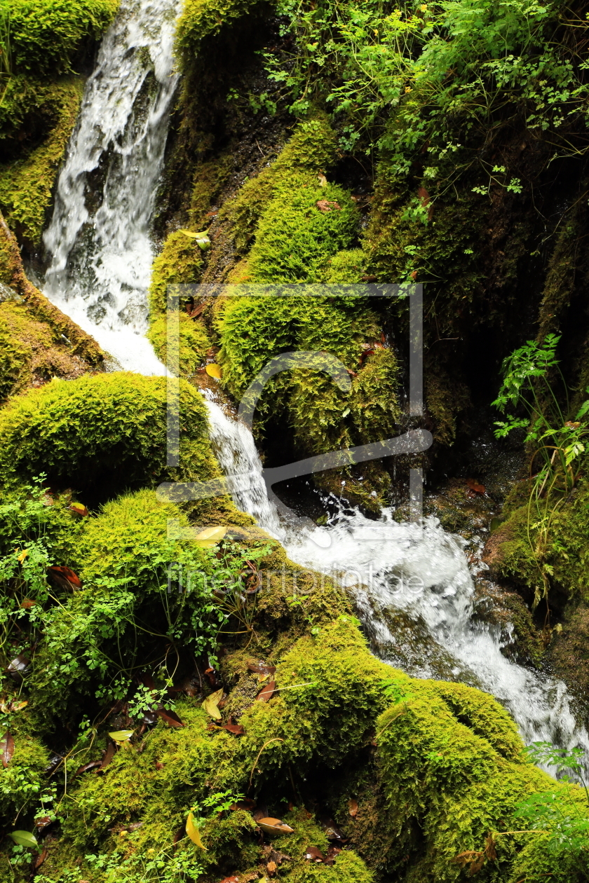 Bild-Nr.: 11788160 Wildbach erstellt von fotoping