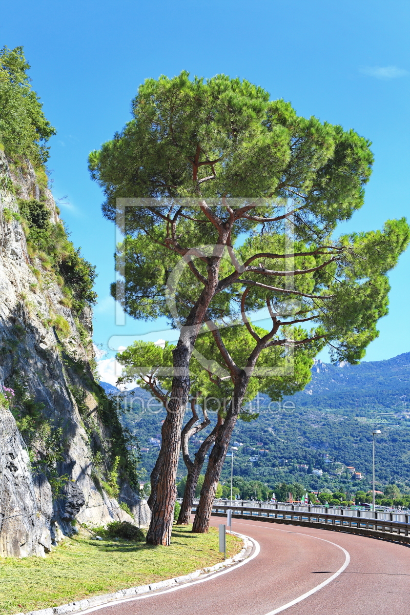 Bild-Nr.: 11788166 Riva del Garda erstellt von fotoping
