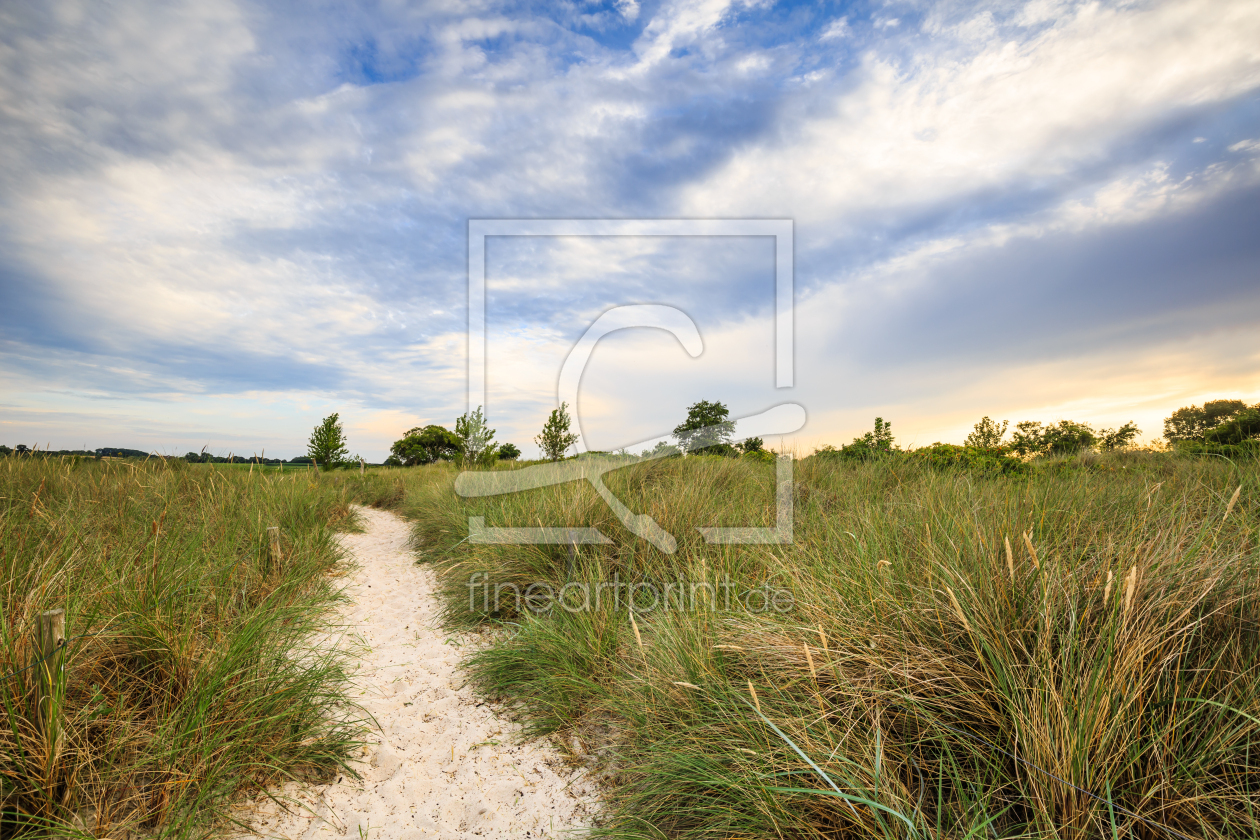 Bild-Nr.: 11788304 Ostsee Dünenweg erstellt von Ursula Reins