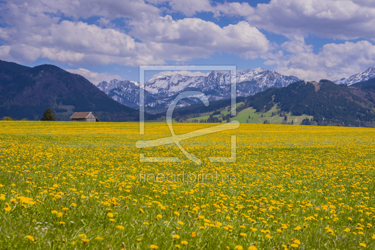 Bild-Nr.: 11788850 Alpenvorland erstellt von Walter G. Allgöwer