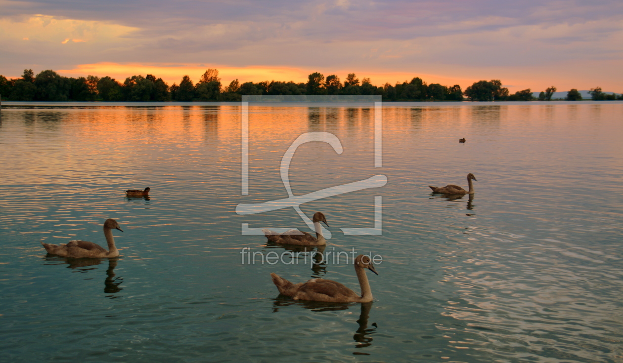 Bild-Nr.: 11790328 Abendstille erstellt von GUGIGEI