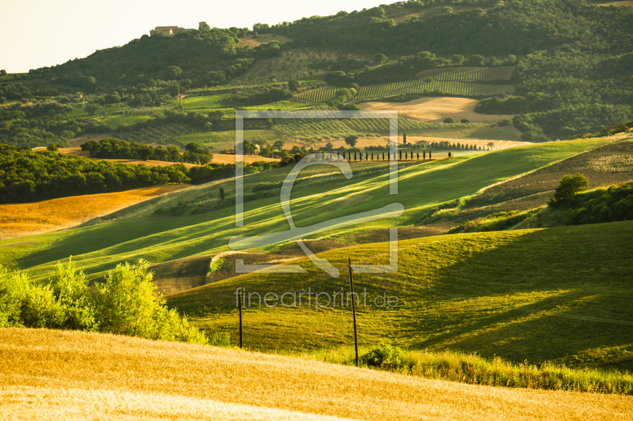 Bild-Nr.: 11792592 Crete Senesi erstellt von KundenNr-160338