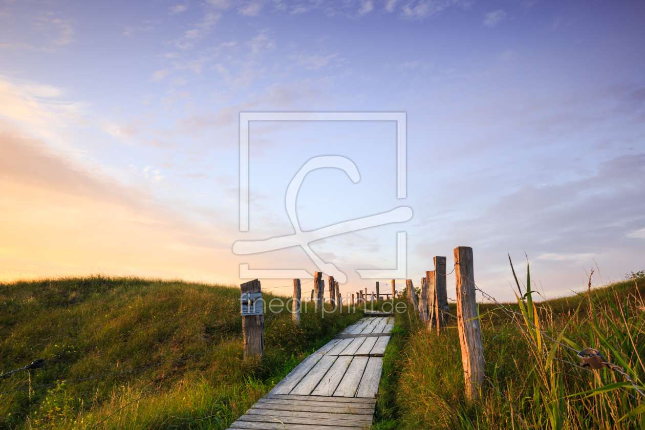 Bild-Nr.: 11793630 Ostsee Dünenweg erstellt von Ursula Reins