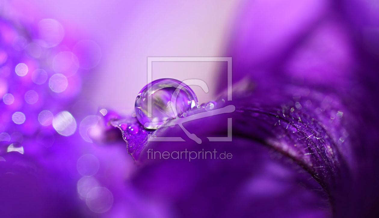 Bild-Nr.: 11795640 Lilac Lightshow erstellt von youhaveadream