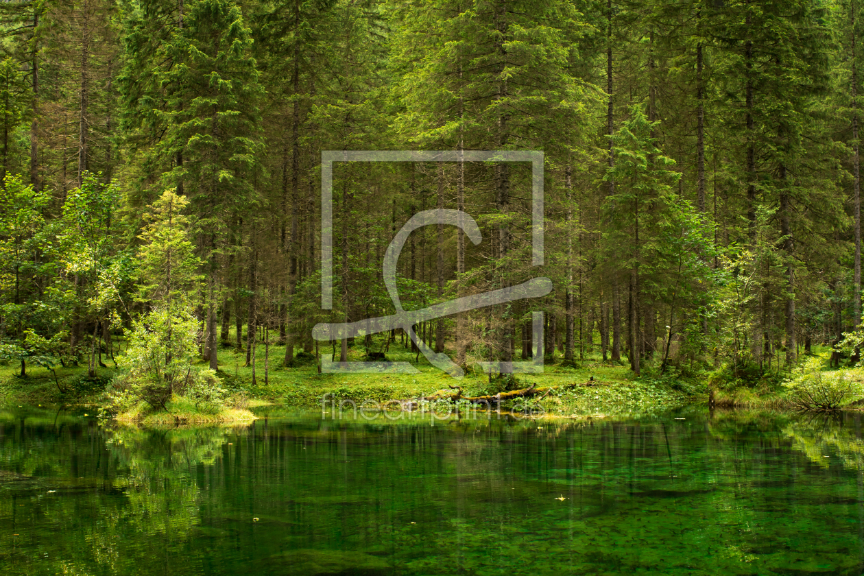 Bild-Nr.: 11796248 Wald und Wasser Bild-Nr.: 11796248 Wald und Wasser erstellt von AlinaF-Fotografie