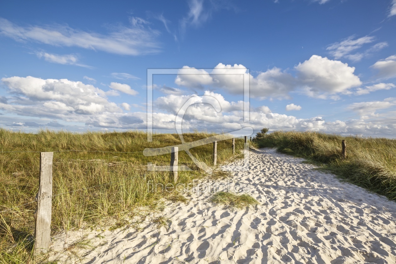 Bild-Nr.: 11796382 SOMMERURLAUB an der OSTSEE erstellt von Ursula Reins