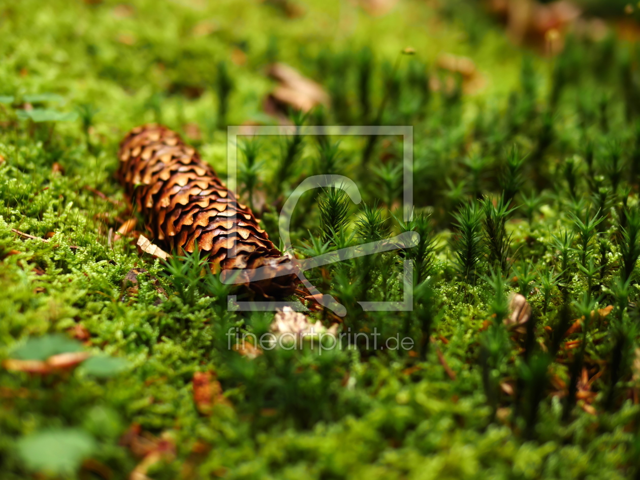 Bild-Nr.: 11796426 Mikrowelt II erstellt von dresdner